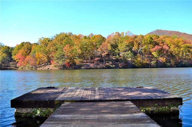 dock area with a water view and a wooded view