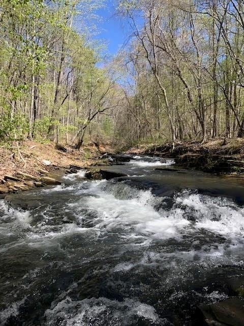 view of nature with a wooded view