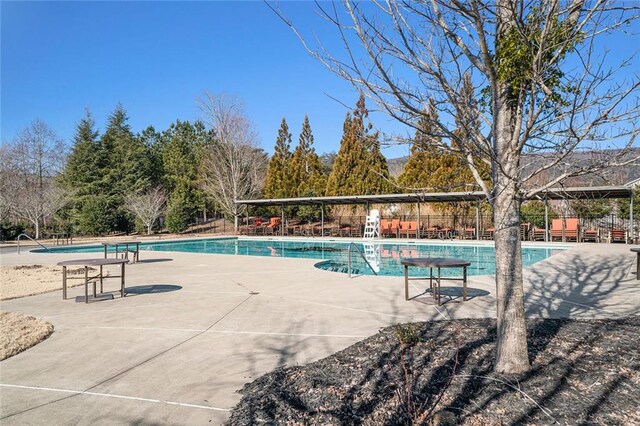 view of pool featuring a patio area