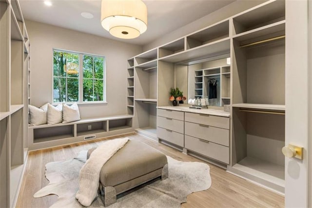 spacious closet with light wood-type flooring