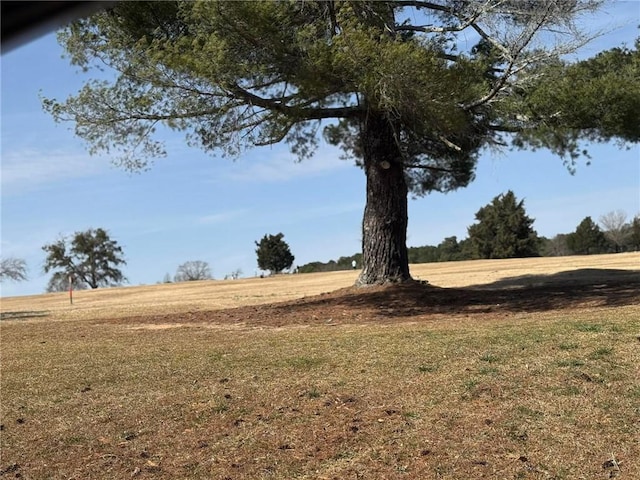 view of local wilderness with a rural view