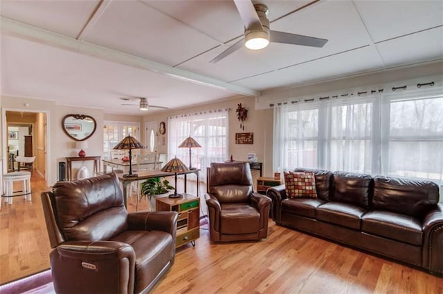 living room featuring ceiling fan and light wood-type flooring