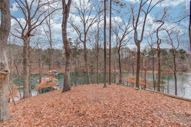 view of yard featuring a water view