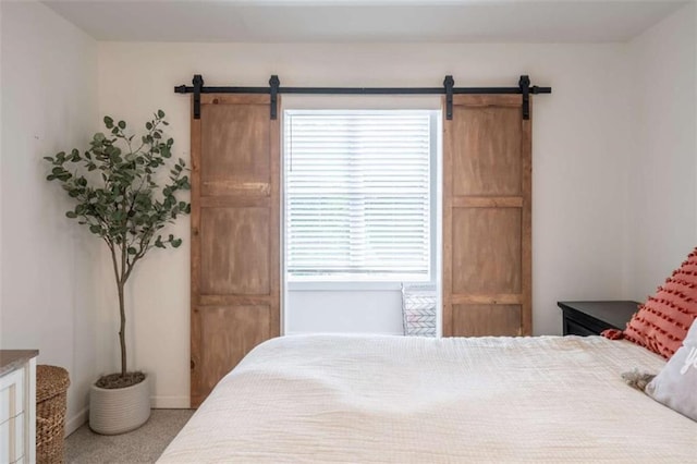 361 Princeton Way, Lawrenceville, GA 30044 - bedroom featuring a barn door and multiple windows