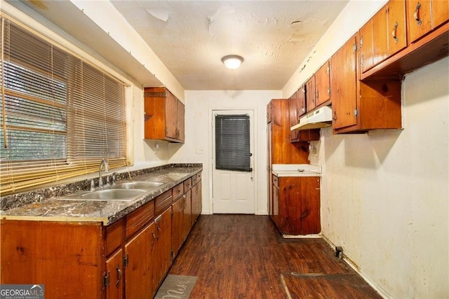 kitchen with a sink, brown cabinetry, baseboards, under cabinet range hood, and dark wood-style floors