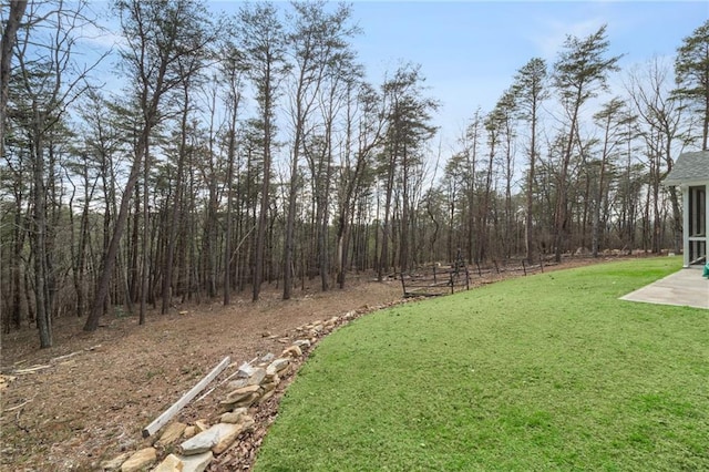 541 Mulberry Cir, Jasper, GA 30143 - view of yard with a patio