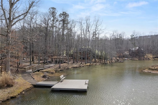 541 Mulberry Cir, Jasper, GA 30143 - view of dock featuring a water view