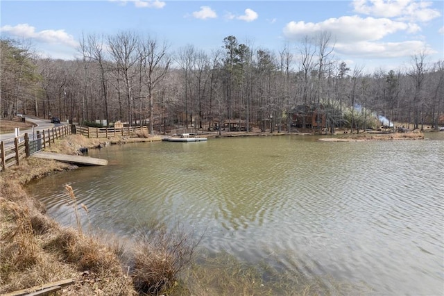 541 Mulberry Cir, Jasper, GA 30143 - view of water feature