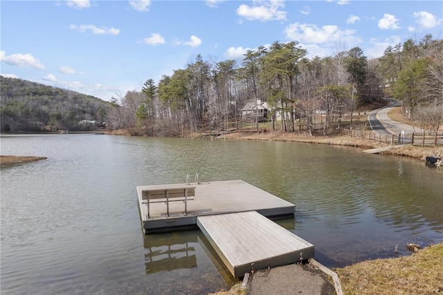 541 Mulberry Cir, Jasper, GA 30143 - view of dock with a water view