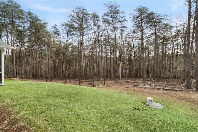 541 Mulberry Cir, Jasper, GA 30143 - view of yard
