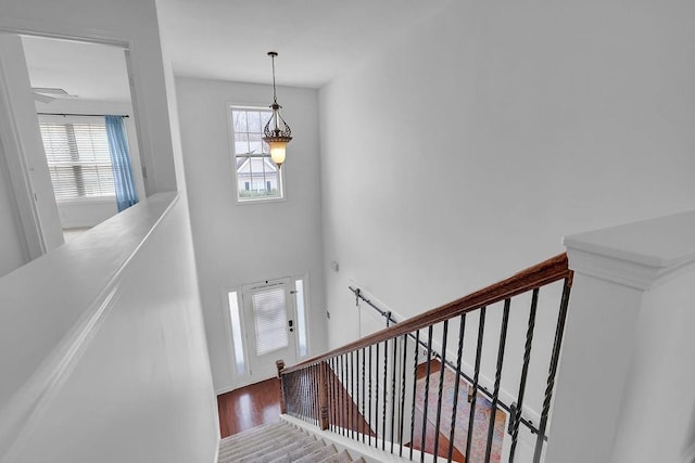 stairs featuring hardwood / wood-style floors