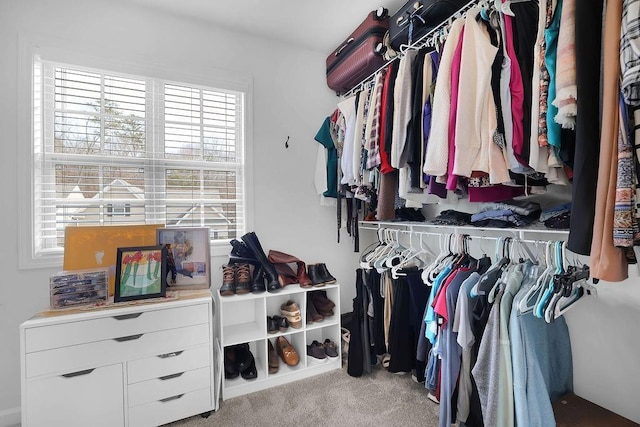 spacious closet featuring light colored carpet