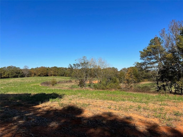 0 Two Gun Bailey Rd, Taylorsville, GA 30178