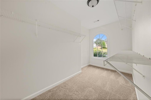 179 Hunters Crk, Dallas, GA 30157 - walk in closet featuring carpet floors and lofted ceiling