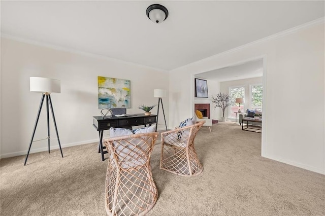 179 Hunters Crk, Dallas, GA 30157 - office space with carpet, crown molding, and a fireplace