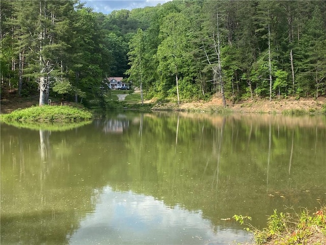 view of water feature featuring a forest view