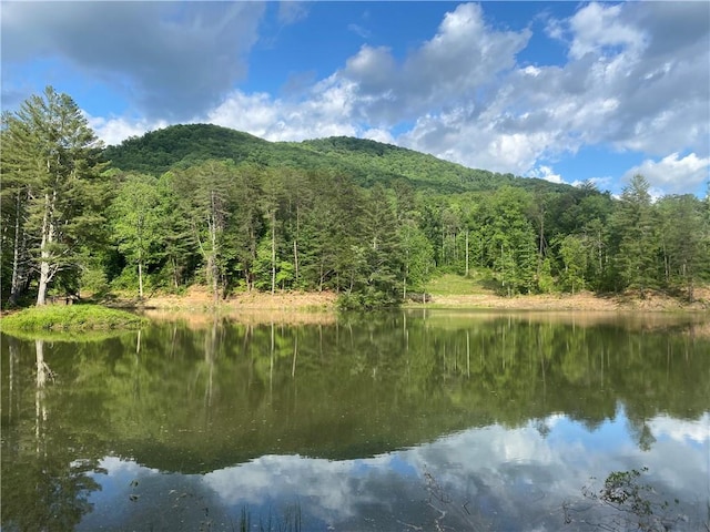 water view featuring a forest view and a mountain view