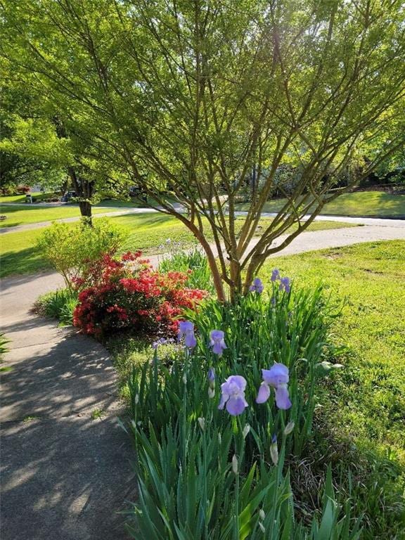 view of community featuring a lawn