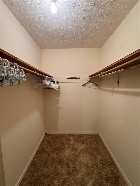 spacious closet with carpet