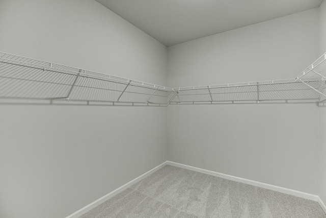 spacious closet featuring light carpet