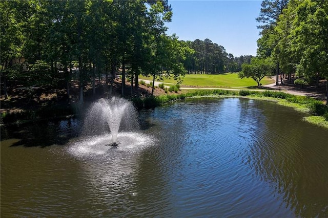 property view of water