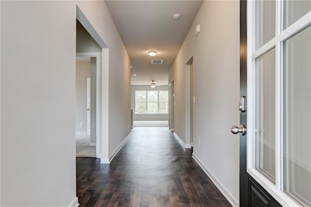 hallway with dark hardwood / wood-style flooring