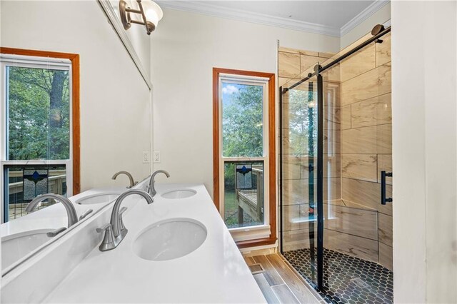 full bathroom featuring a sink and a shower stall
