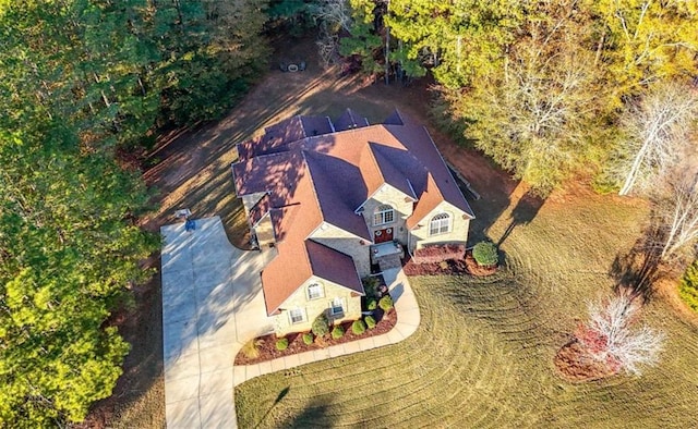 bird's eye view