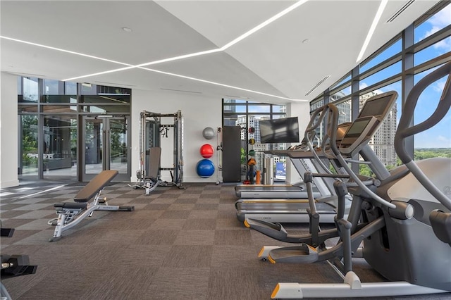 gym with floor to ceiling windows