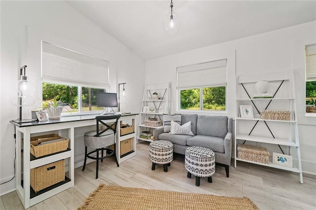 4791 Talona Rd, Talking Rock, GA 30175 - office featuring plenty of natural light, light wood-style flooring, and lofted ceiling