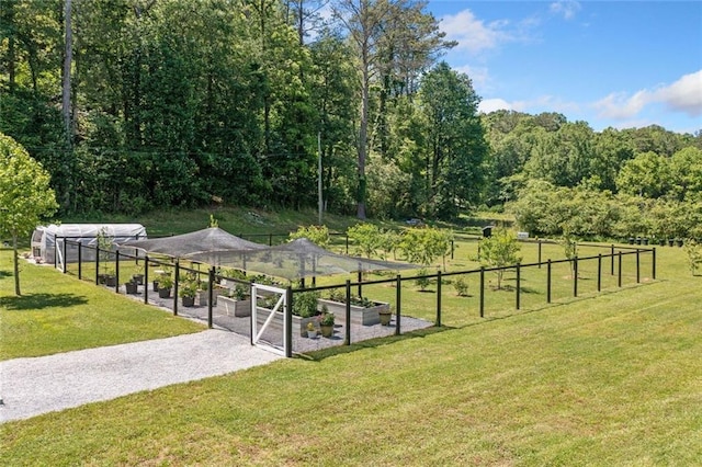 4791 Talona Rd, Talking Rock, GA 30175 - view of home's community featuring a garden and a view of trees