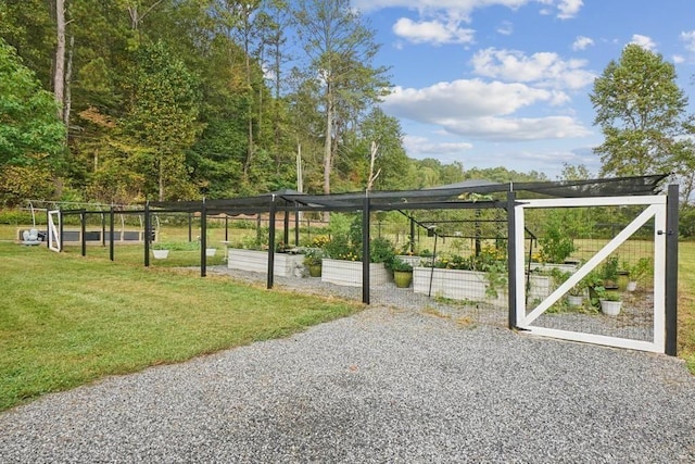 4791 Talona Rd, Talking Rock, GA 30175 - view of home's community featuring a yard and a garden