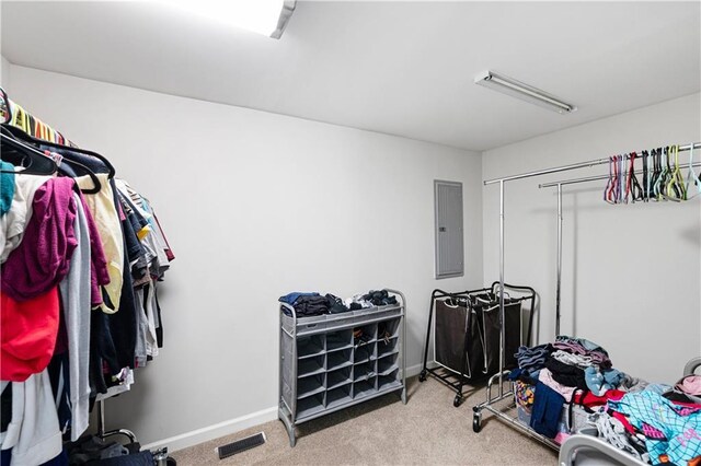 5971 Dogwood Dr SE, Acworth, GA 30102 - spacious closet featuring electric panel and carpet floors