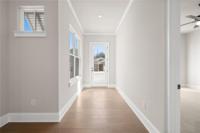 corridor featuring crown molding, plenty of natural light, and wood-type flooring