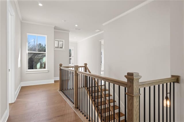 hallway featuring crown molding and wood-type flooring