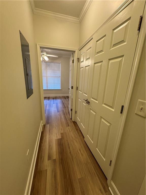 hallway featuring ornamental molding, baseboards, electric panel, and dark wood-type flooring