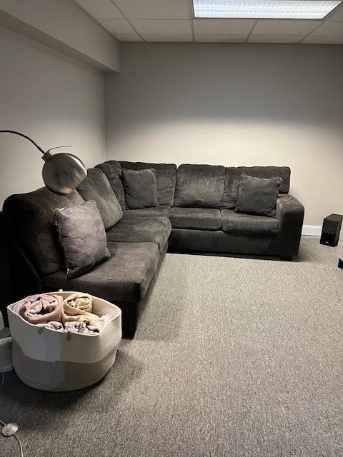 carpeted living room featuring a drop ceiling