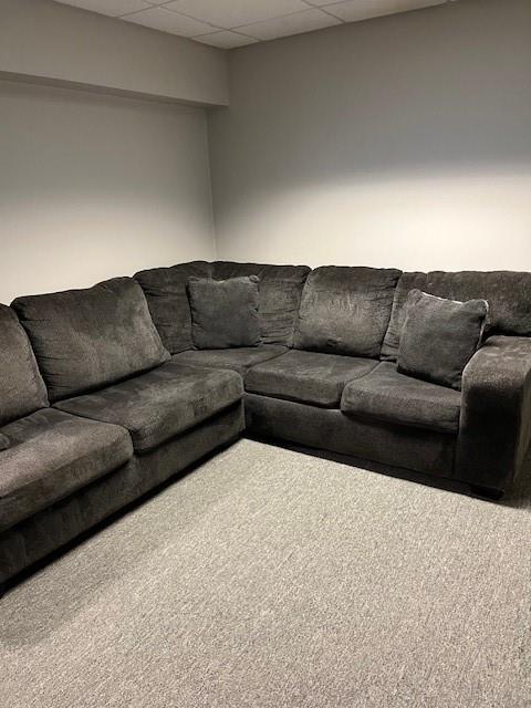 living room with a paneled ceiling and carpet