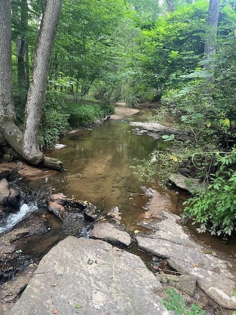 view of local wilderness