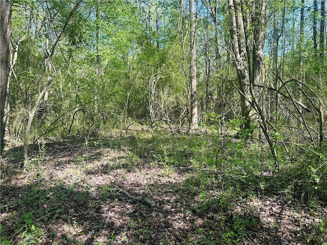 0 Antioch Rd, Lula, GA 30554