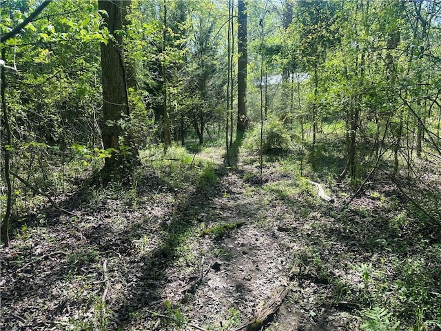 0 Antioch Rd, Lula, GA 30554
