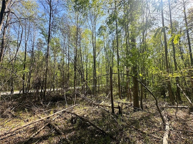 0 Antioch Rd, Lula, GA 30554