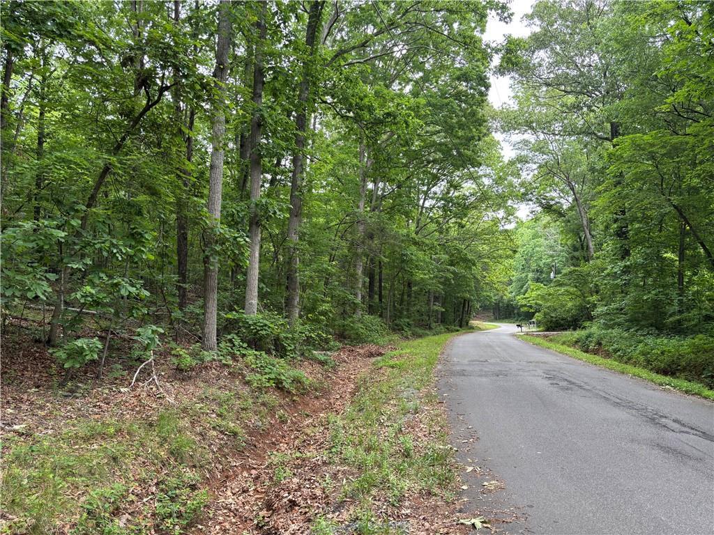 0 Navajo Trl, Rydal, GA 30171