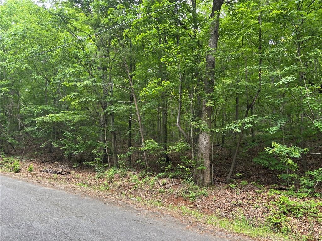 0 Navajo Trl, Rydal, GA 30171
