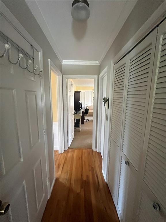 hall with light wood-style floors and ornamental molding