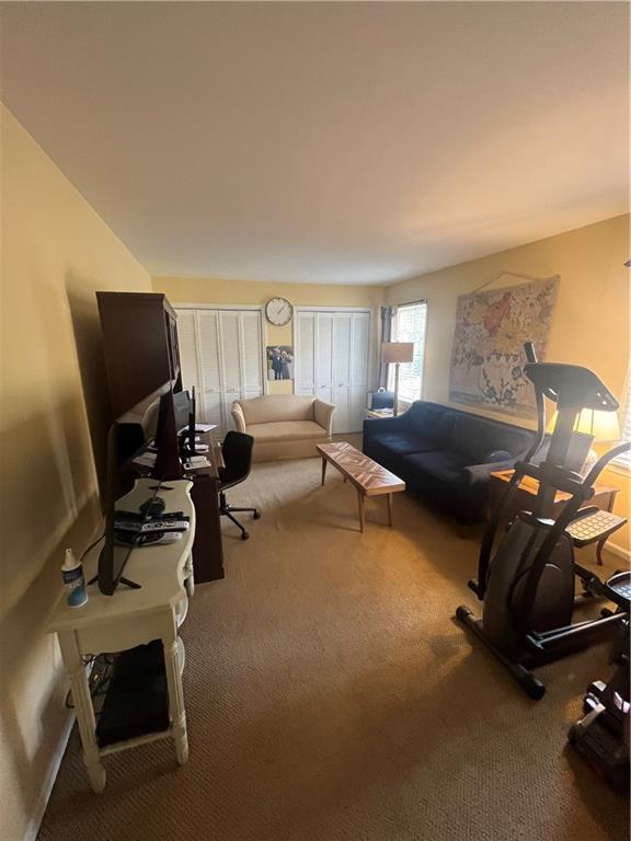 workout room with carpet floors