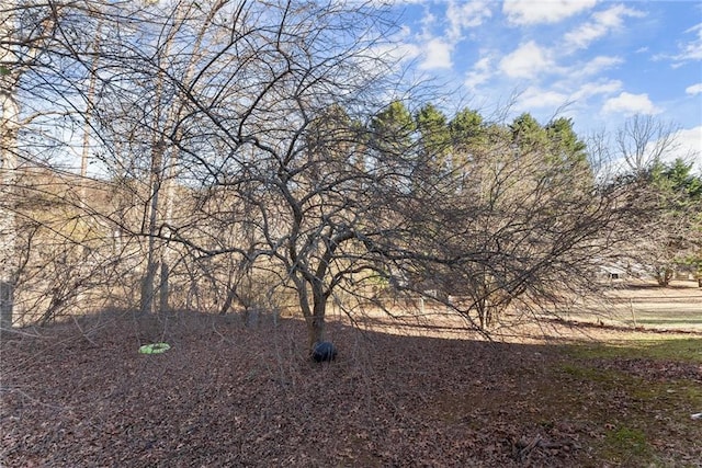 4010 Catawba Rdg, Gainesville, GA 30506 - view of landscape