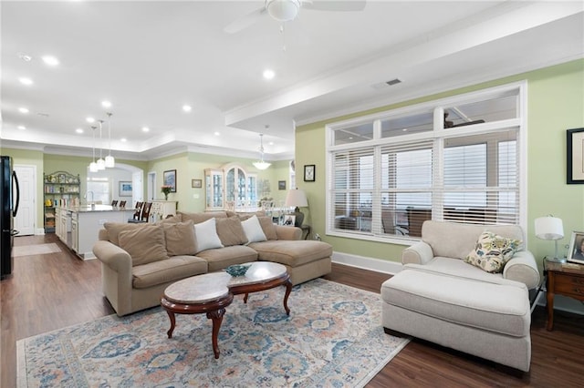 living room featuring ceiling fan, sink, dark hardwood / wood-style floors, and a raised ceiling