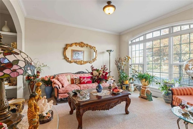 living room featuring carpet floors and crown molding