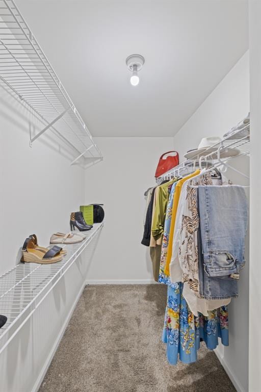 1465 Laleiah Dr, Cumming, GA 30041 - walk in closet featuring carpet